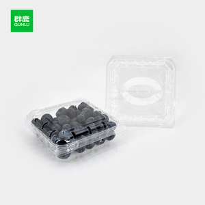 125g/185g/250g arándano frambuesa transparente desechable PET Clamshell contenedor plástico frutas <span class=keywords><strong>cajas</strong></span> de embalaje - Product Image 6