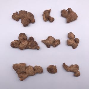 โรงงานเสี่ยวอี๋ฉาง ขายตรงสมุนไพรจีนโบราณ ขิงแห้ง (Zingiberis Rhizoma Praeparatum) ผ่านกระบวนการอบแห้ง - Product Image 3