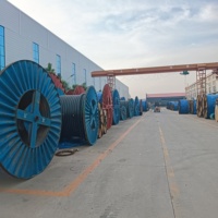 Cable de Minería Blindado de Alta Resistencia MYJV MYJV22 8.7/10kV XLPE, Retardante de Llama, Certificado MT818, Cable de Alto Voltaje para Minas de Carbón IEC