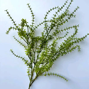 Flores Artificiales Estilo Bosque para Bodas, Accesorios de Fotografía para Exteriores, Ramas Largas de Pino Verde Artificial, Nuevo Estilo - Product Image 1