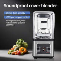 Yüksek hızlı çok fonksiyonlu ticari ağır meyve suyu mikseri Smoothie makinesi Blender elektrikli mikser