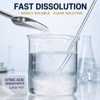 Vente Flash : Acide Citrique Monohydraté Industriel 99,5% - Meilleur Prix - Échantillon Gratuit
