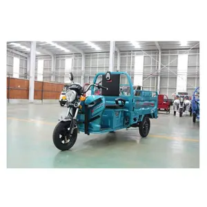 Haishen 150 1500WD SKD triciclo da carico elettrico schermo LCD 60V acciaio grande spazio 35 km/h ruota in acciaio 1000w Bikecar elettrico aperto