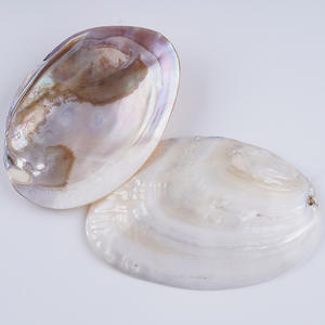 Perles de culture d'eau douce naturelles de 13-14 mm, forme de pièce de monnaie baroque, bouton, trou traversant, bricolage, collier, perles en vrac, vente en gros - Product Image 4