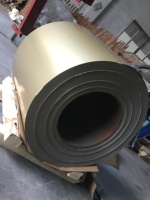 Bobine d'acier revêtue d'une couche dorée pour les panneaux d'appareils électroménagers