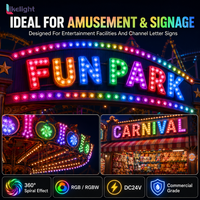 Lumière de pixel cabochon RGB 18 LED 60 mm DC24V UCS2903 IP67 étanche SMD5050 pour manèges de parcs d'attractions et carnavals OEM