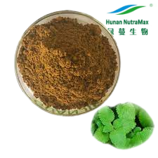 メリッサオフィシナリスL。レモンバーム葉エキスとフラボノイド、ローズマリー酸、<span class=keywords><strong>4</strong></span>:<span class=keywords><strong>1</strong></span>から20:<span class=keywords><strong>1</strong></span>の抽出 - Product Image 4