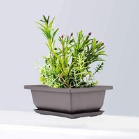 Pots à bonsaï en plastique et pots avec plateau, pot à bonsaï avec plateau