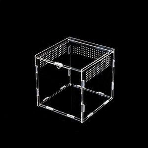 Acrylique Carré Transparent Reptile Enceinte Design Minimaliste <span class=keywords><strong>Terrarium</strong></span> pour Serpents Araignées et Petits Lézards Reptile Enclos - Product Image 6