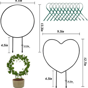 HY198 Planta redonda Enrejado Vine Climber Pole Planter Escalada Soporte de hierro Estaca de jardín - Product Image 1