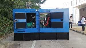 Alternateur à moteur pour générateurs diesel, certificats EPA CE, châssis ouvert, ATS, télécommande, 1800 tr/min - Product Image 3