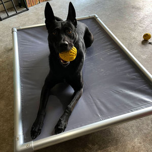 Cama para mascotas duradera y personalizada Cama para perros masticable respetuosa con el medio ambiente Cama para perros con marco de aluminio - Product Image 2