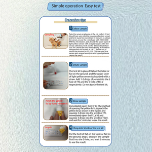 MR Veterinary 2-in-1 FIV & FeLV Antigeen Sneltest <span class=keywords><strong>Kit</strong></span> voor Katten - Eenvoudige Gebruiksvriendelijkheid, Veilig & Betrouwbaar - Product Image 4