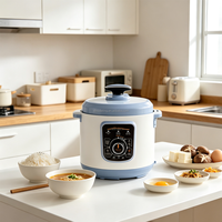 Cuisinière à pression électrique populaire de 5 L, décompression automatique, pot multifonction pour les repas quotidiens en famille
