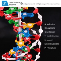 Modelo de Estructura de ADN de Doble Hélice de Plástico Kepu para Enseñanza de Biología en el Grado Secundario, Instrumento de Demostración