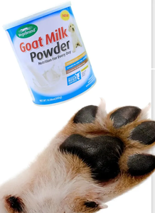 Vente en gros au meilleur <span class=keywords><strong>prix</strong></span>, formule de complément nutritionnel anti-diarrhéique équilibrée pour animaux de compagnie, <span class=keywords><strong>poudre</strong></span> de lait de chèvre pour chiens et chats - Product Image 5