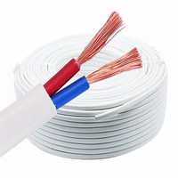 Cable Eléctrico de 2 Núcleos 2x0.75/1/1.5/2.5/4/6mm2 RVVB H03Vvh2-F Plano de PVC Flexible con Aislamiento de Cobre y Conductor Sólido