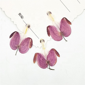 12pcs/pack Bleeding <strong>Heart</strong> Pressed Botanical <strong>for</strong> Candle Making DIY <strong>Craft</strong> Resin Art Frame Home Deco. - Product Image 1