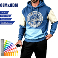 Felpa con Cappuccio Oversize Raglan 220gsm con Stampa a Blocchi Contrastanti Personalizzata per Creatori di Moda Maschile, Basso MOQ ODM