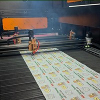 Machine de découpe laser DTF 1215 160W à double tête pour films, autocollants UV TPU et étiquettes en cristal, type portique, refroidissement par eau, facile à utiliser