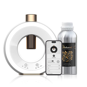 Máy tạo độ ẩm mini cao cấp bằng kim loại, kiểu dáng mới 2025, phun sương tự nhiên, không cần nước, di động, khuếch tán tinh dầu thơm - Product Image 2