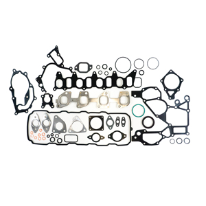Kit completo di guarnizioni, adatto per la serie di motori NISSAN A0A01-MA70A - Product Image 2