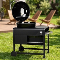 Barbecue au charbon de bois portable, chariot de table extérieur, montage facile, style moderne, acier laminé à froid thermolaqué, réglage automatique