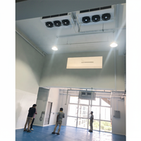 Contenedor Congelador Industrial de 10FT 20FT para Almacenamiento en Frío de Carne, Verduras, Motores y Rodamientos para Compresores