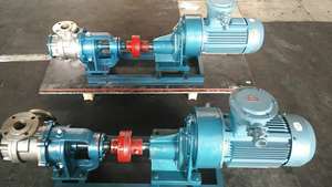Bomba Rotativa Eléctrica de Malla Interna de Acero Inoxidable de Alta Resistencia Serie NYP para Fluidos de Alta Viscosidad con Reductor de Transmisión - Product Image 2