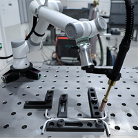 Brazo robótico de pinza de fotografía comercial Cobot 6 DOF con robot de cabina de fotos automático de cámara