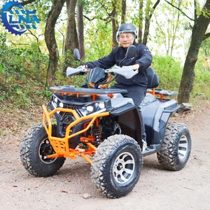 Vehículo de Trabajo LNA, <span class=keywords><strong>Cuatrimoto</strong></span> China de 200cc, para Uso Comercial con Pasajeros Adultos - Product Image 3