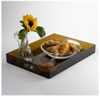 Assiettes acryliques élégantes et modernes pour le service des aliments pour les tables basses Coiffeuses Plateau à thé et à fruits Bars et rassemblements de cuisine