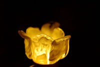 Tempat Lilin Kaca Amber Ramah Lingkungan Buatan Tangan dengan Kelopak Bunga untuk Dekorasi Rumah dan Penataan Meja di Natal.