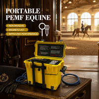 Appareil PEMF professionnel pour chevaux, équipement de thérapie équine portable avec plusieurs options d'applicateurs, OEM ODM