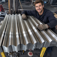 Herramientas para Plegadoras Industriales Sego: Matrices de Doblado con Tecnología de Endurecimiento, 6 Meses de Garantía, Maanshan para Reportes