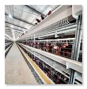 2024 New Product Factory Custom Wholesale Best Quality hot galvanized wire mesh H Type poultry layer cage