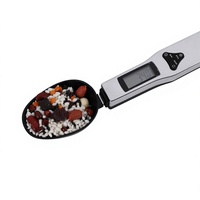 Balance cuillère numérique LCD en acier inoxydable 304 pour la cuisine, 500g/0.1g, avec cuillère doseuse, vente en gros