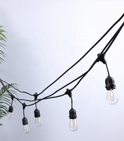 Guirlande lumineuse LED imperméable, 15 ampoules style Vintage, éclairage d'extérieur, idéal pour les vacances, 50/48 pieds
