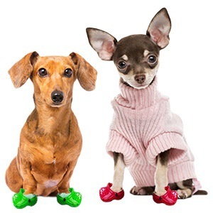 Sandales d'été respirantes <span class=keywords><strong>pour</strong></span> chiens, pantoufles <span class=keywords><strong>de</strong></span> plage souples <span class=keywords><strong>pour</strong></span> petits chiens Teddy, chaussures <span class=keywords><strong>de</strong></span> <span class=keywords><strong>marche</strong></span> <span class=keywords><strong>pour</strong></span> animaux <span class=keywords><strong>de</strong></span> compagnie - Product Image 5