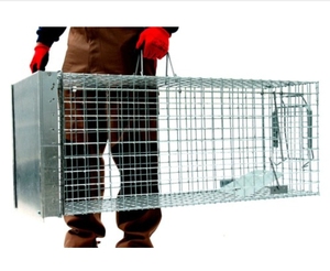 <span class=keywords><strong>Vente</strong></span> flash : Cage à écureuils pliable à une porte, 6 pieds, piège à écureuils vivants, cadre en acier, design écologique pour chantier de construction, modélisation 3D - Product Image 2