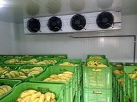 Commerciële Bananenrijpingsmachine Chambre Froide Koeleenheid Koelkamer Opslagcontainer Voor Groenten En Fruit