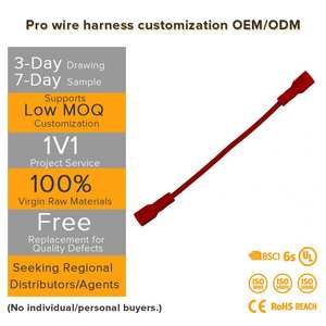 JST SH GH XH ZH PH 2,54mm Rastermaß Pin-Kabel Stecker-Buchse-Verbinder für Präzise Elektronische Industrielle Verbindungen - Product Image 2