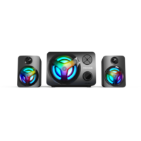 Microlab Sound Box Pc Subwoofer Altavoz de escritorio Rgb Cool Led Light Altavoz Colorido Gaming Computer Altavoces U210