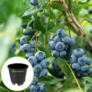 Hydroponic Plant Container Flower Growing <strong>Pot</strong> Nursery 20/30/<strong>40</strong>/50L Blueberry Gallon <strong>Pot</strong> - Product Image 1