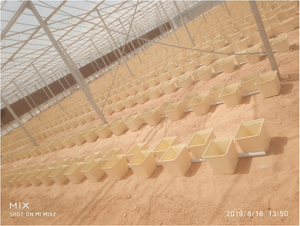 Hidropónica holandés cubo sistema de cultivo de tomate, pepino, plantación de cubo - Product Image 4
