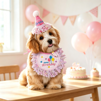 Offre Spéciale : Ensemble d'accessoires pour animaux de compagnie en polyester, style Instagram, pour fête d'anniversaire, comprenant bavoir brodé, serviette, nœud papillon, bandana et chapeau pour chien et chat