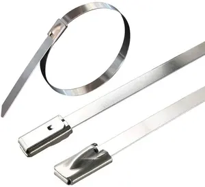 Unique Ball Locking Mechanism SS316 Cable Tie 4.6*300mm