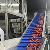 Automatische machines voor de verwerking van diepvriesfruit en -groenten voor fruitverwerkingsbedrijven - machine voor het snijden en raspen van wortelen, aardappelen en mango's