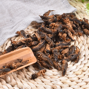 Toptan kurutulmuş Lougu köstebek kriket organik Gryllotalpidae çin tıbbı - Product Image 2