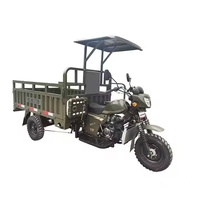 Tricycle de fret à 3 roues, refroidi par eau, certifié 3C, 200-250W, carrosserie ouverte, vitesse 50-70 km/h et capacité de montée 20-25 degrés